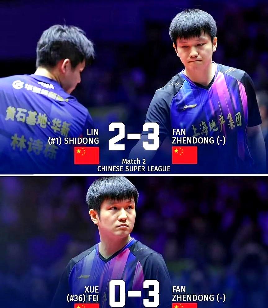 日本乒乓球队鏖战瑞典乒乓球队，樊振东绝境逆转的简单介绍