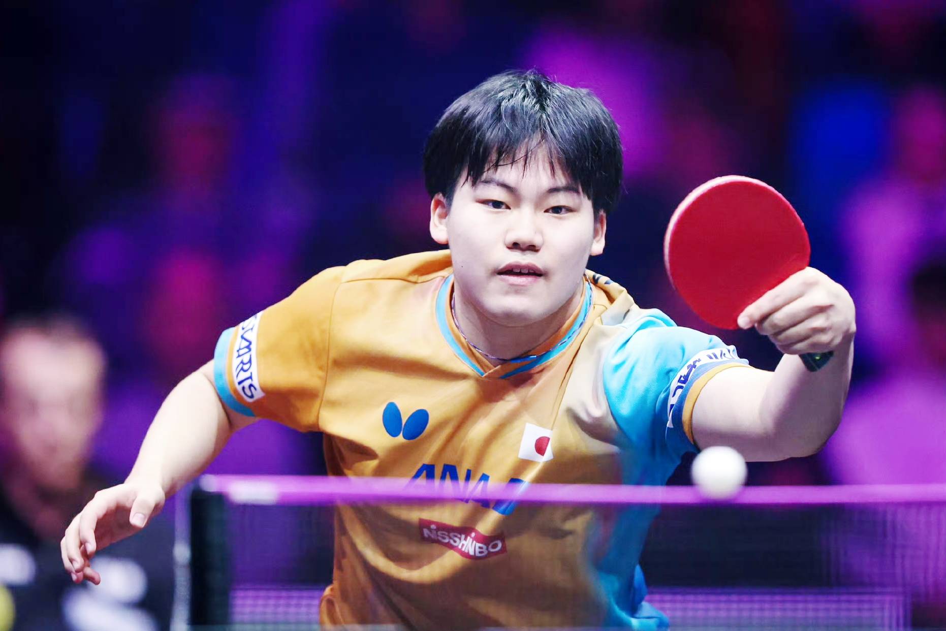 包含韩国队完胜日本队，奥恰洛夫统治全场的词条