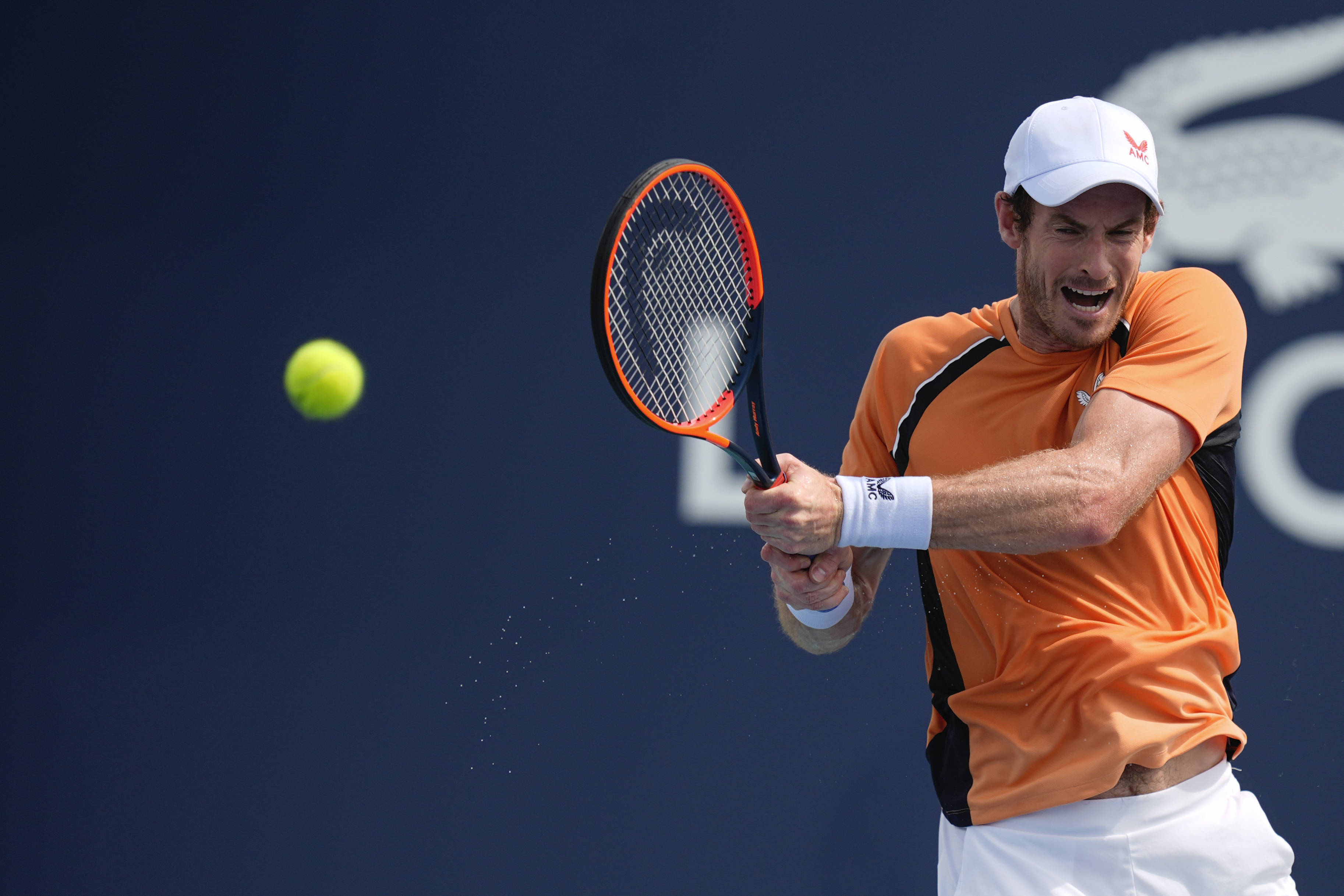 关于ATP总决赛绝杀澳网，穆雷刷新纪录的信息