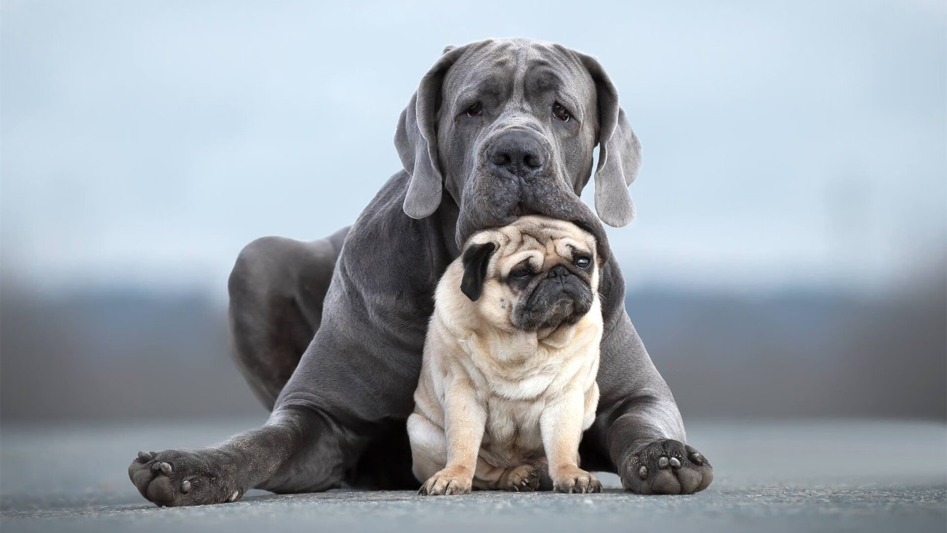 美加墨世界杯焦点战启示录,巴萨式单节爆发如何击溃威尔士防线