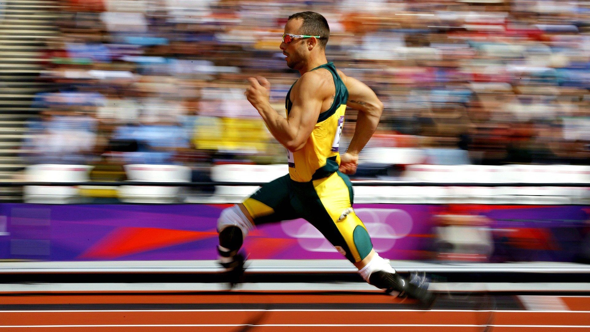 温网逆转美网，德约科维奇如何点燃赛场，书写网坛传奇